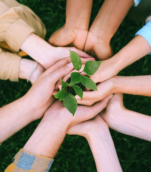 A UK-Based Charity – Service Design