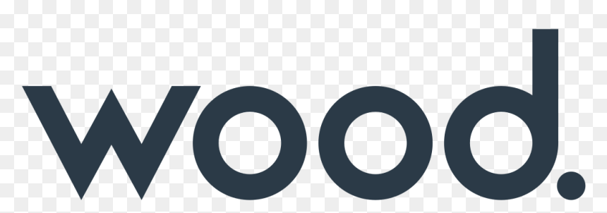 HR Operating Model and Processes